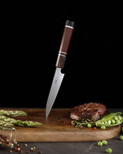 Load image into Gallery viewer, XC109 XinCraft 4.7" M390 Utility Knife